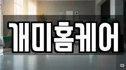 개미홈케어