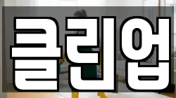 클린업