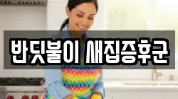 대전광역시 중구 선화동 청소,입주청소,사무실청소,에어컨청소,특수청소,상가청소,거주청소,유품정리