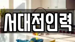 서대전인력