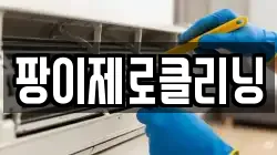팡이제로클리닝