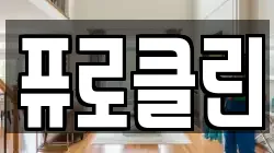 퓨로클린