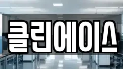 클린에이스