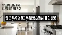 긴급특수청소고독사청소쓰레기집청소