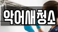 악어새청소