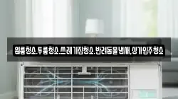 원룸청소.투룸청소.쓰레기집청소.반려동물냄새,상가입주청소