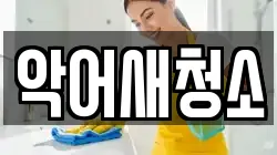악어새청소