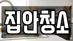 집안청소