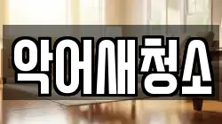 악어새청소