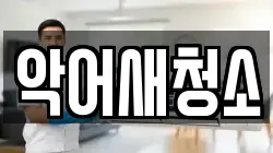 악어새청소