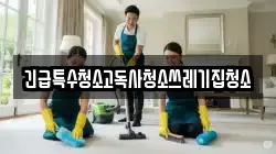 긴급특수청소고독사청소쓰레기집청소