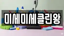 미세미세클린왕