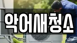 악어새청소