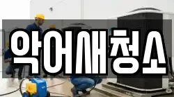 악어새청소