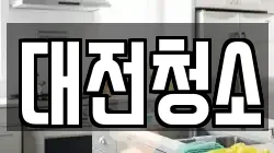 대전청소