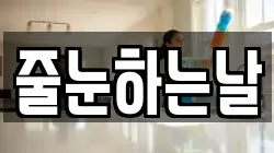 줄눈하는날
