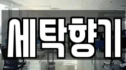 세탁향기
