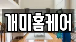 개미홈케어