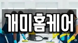 개미홈케어