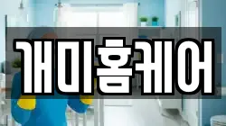 개미홈케어