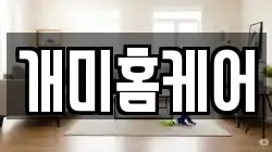 대전 동구 인동 청소,입주청소,사무실청소,에어컨청소,특수청소,상가청소,거주청소,유품정리
