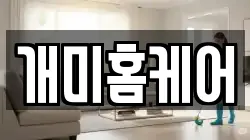 개미홈케어