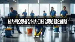 세차의요정출장세차디테일링스팀손세차