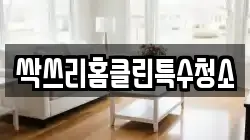 싹쓰리홈클린특수청소