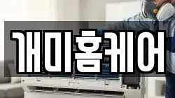 개미홈케어