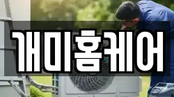 개미홈케어