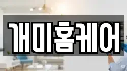 개미홈케어