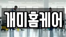 개미홈케어
