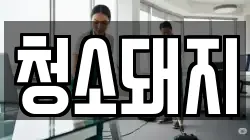 청소돼지