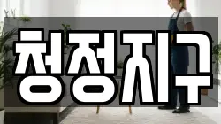 청정지구