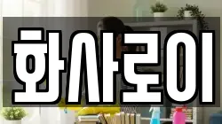 화사로이