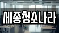 세종청소나라