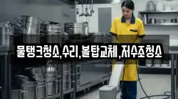 대전 서구 원정동 청소,입주청소,사무실청소,에어컨청소,특수청소,상가청소,거주청소,유품정리