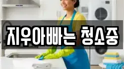 대전 유성구 노은동 청소,입주청소,사무실청소,에어컨청소,특수청소,상가청소,거주청소,유품정리