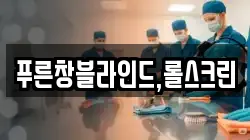 푸른창블라인드,롤스크린