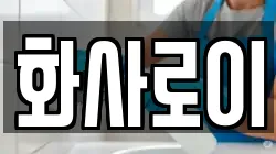 화사로이