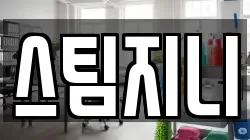 스팀지니