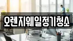 오렌지웨일정기청소