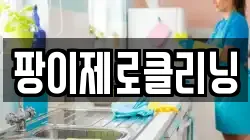 팡이제로클리닝
