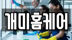 개미홈케어