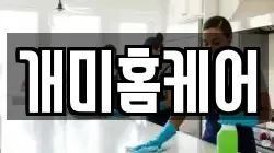 개미홈케어