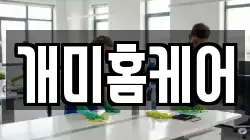 개미홈케어