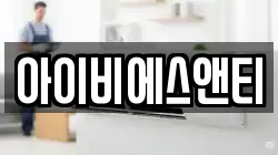 아이비에스앤티