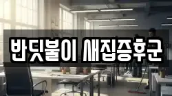 대전 중구 선화동 청소,입주청소,사무실청소,에어컨청소,특수청소,상가청소,거주청소,유품정리