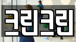 대전 중구 안영동 청소,입주청소,사무실청소,에어컨청소,특수청소,상가청소,거주청소,유품정리