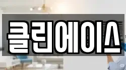 클린에이스